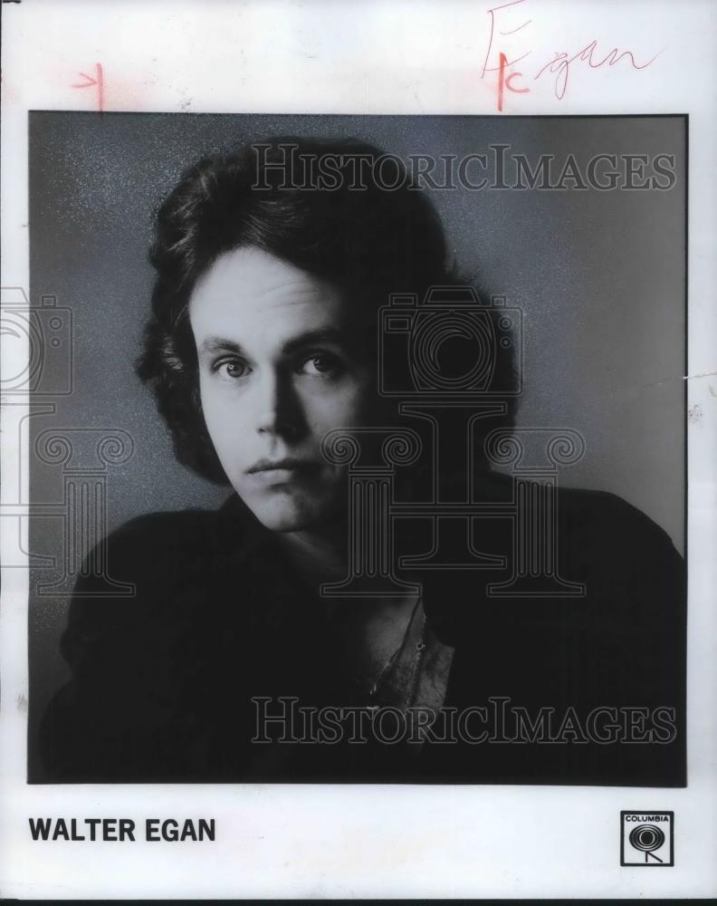 1979 Press Photo Walter Egan Rock Singer Songwriter Guitarist - cvp05922 - Historic Images