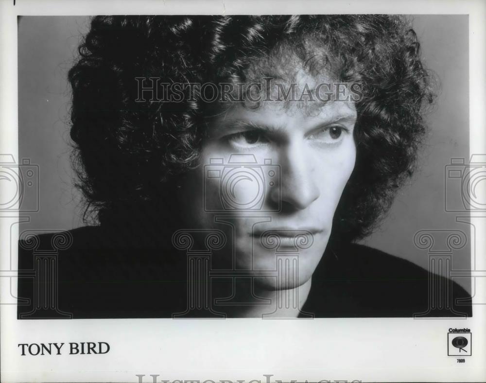 1979 Press Photo Tony Bird Folk Rock Singer Songwriter - cvp02213 - Historic Images