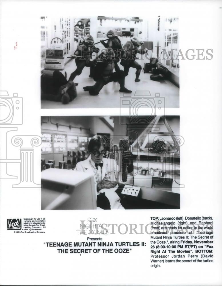 1993 Press Photo Leonardo Donatello Raphael Michaelangelo and David Warner - Historic Images