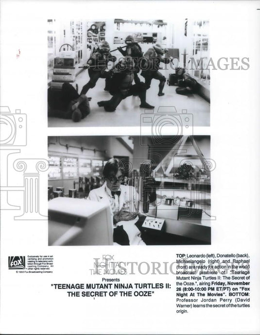 1993 Press Photo Leonardo Donatello Raphael Michaelangelo and David Warner - Historic Images