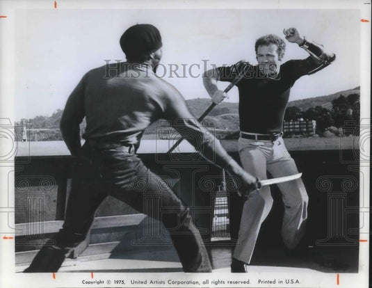1975 Press Photo James Caan in The Killer Elite - cvp08122 - Historic Images