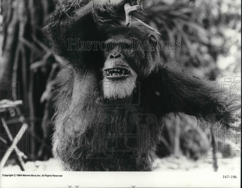 1986 Press Photo Greystoke: The Legend of Tarzan - cvp15204 - Historic Images