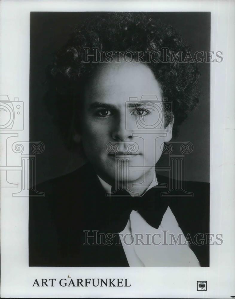 1984 Press Photo Art Garfunkel - cvp11948 - Historic Images
