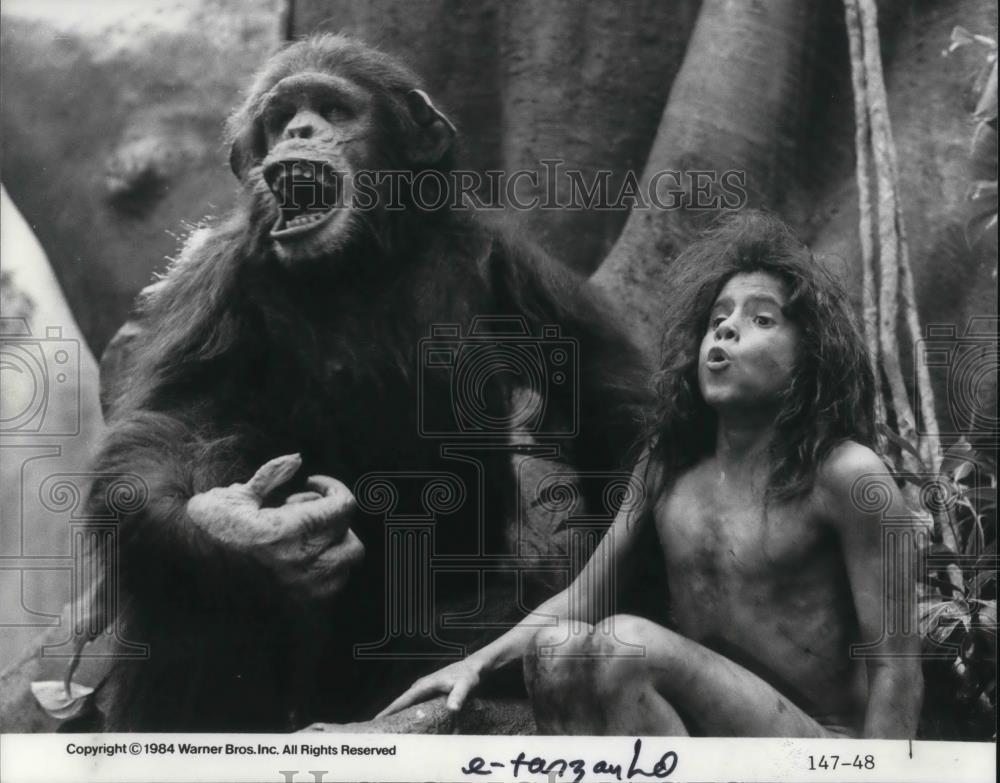 1984 Press Photo Greystoke, Tarzan Movie - cvp15880 - Historic Images