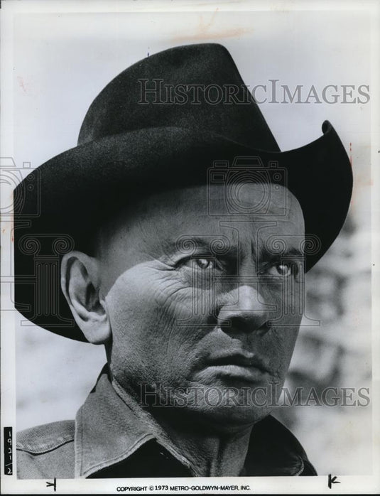 1973 Press Photo Yul Brynner in Westworld - cvp00376 - Historic Images