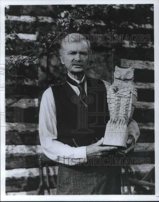 1981 Press Photo Buddy Ebsen in Barnaby Jones TV Show - cvp05850 - Historic Images