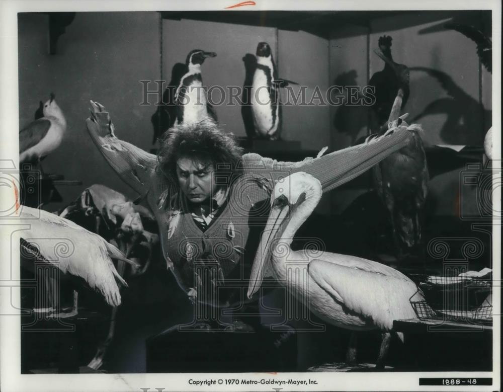 1971 Press Photo Rene Auberjonois stars in Brewster McCloud - cvp14503 - Historic Images