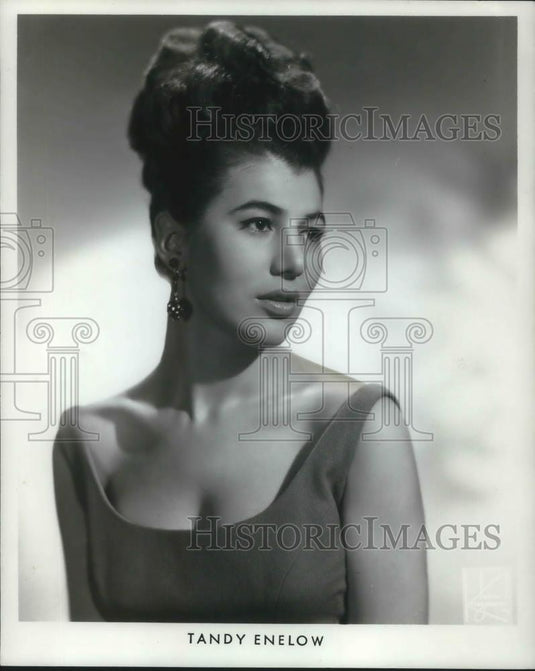 1966 Press Photo Tandy Enelow Singer at Yankee Clipper Inn Ohio - cvp06265 - Historic Images