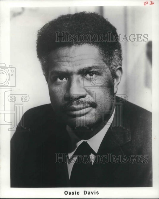 1980 Press Photo Ossie Davis - cvp06449 - Historic Images