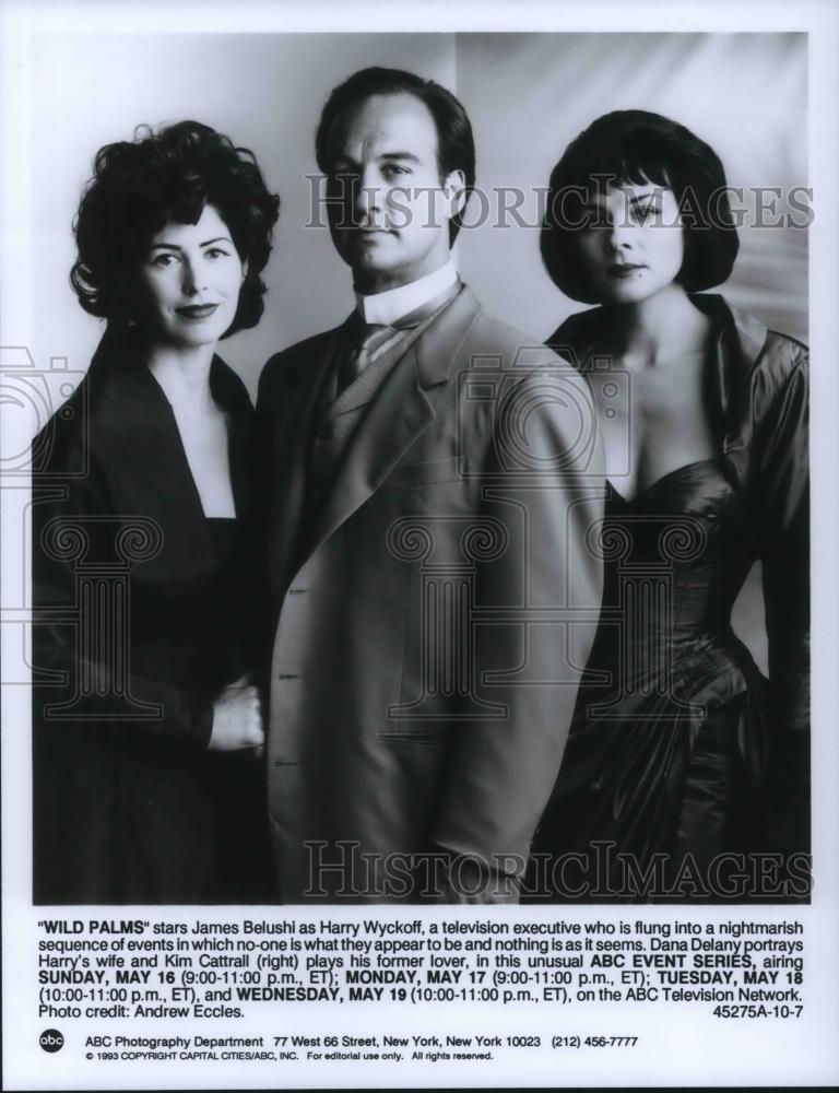 1993 Press Photo Dana Delany, Kin Cattrall & James Belushi in Wild Palms - Historic Images