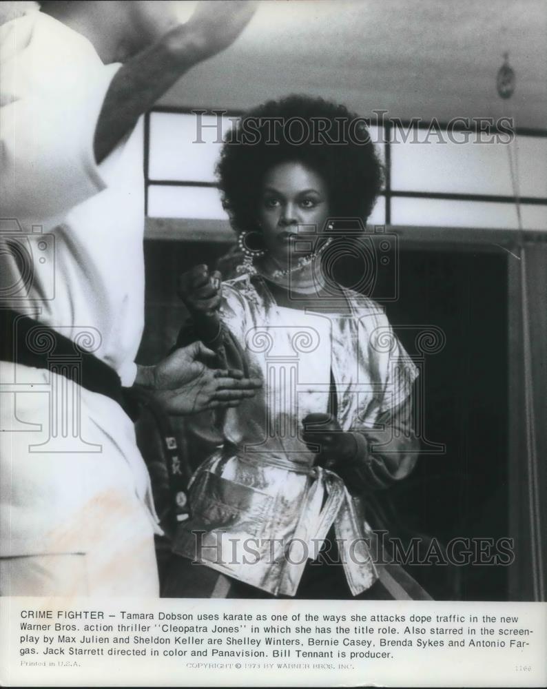 1978 Press Photo Tamara Dobson in Cleopatra Jones - cvp03685 - Historic Images
