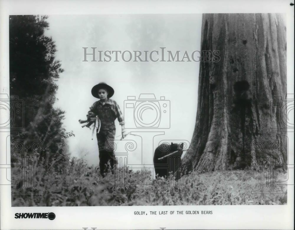 1985 Press Photo Goldy, The Last of the Golden Bears Movie - cvp19952 - Historic Images