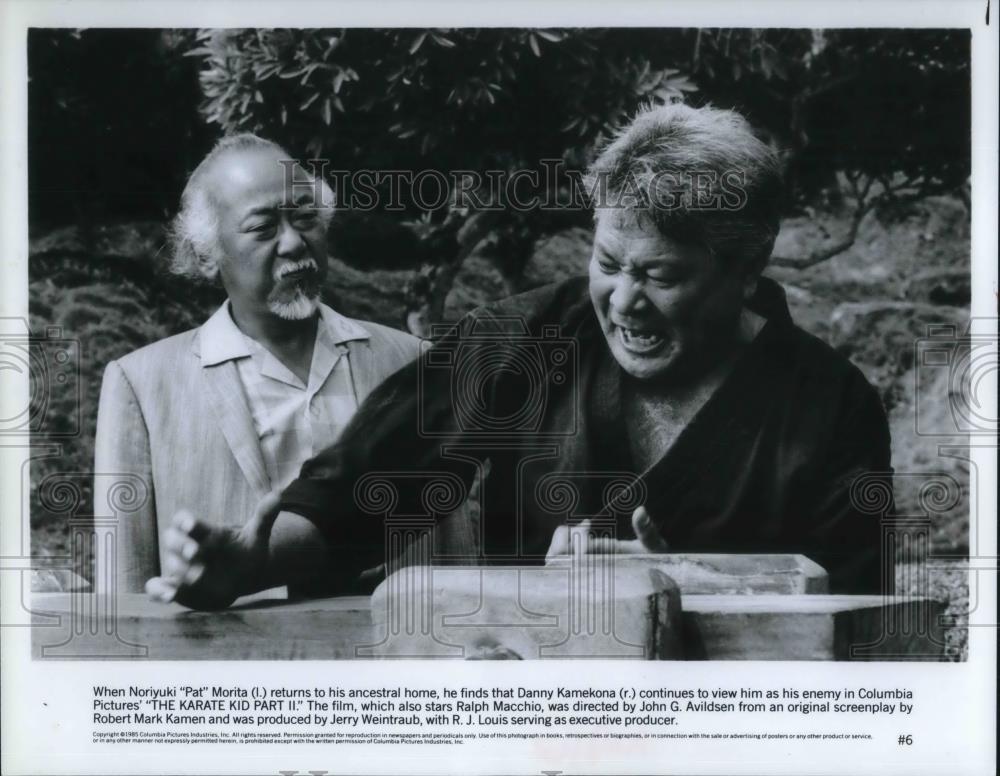 1985 Press Photo The Karate Kid, part 2 - cvp19303 - Historic Images