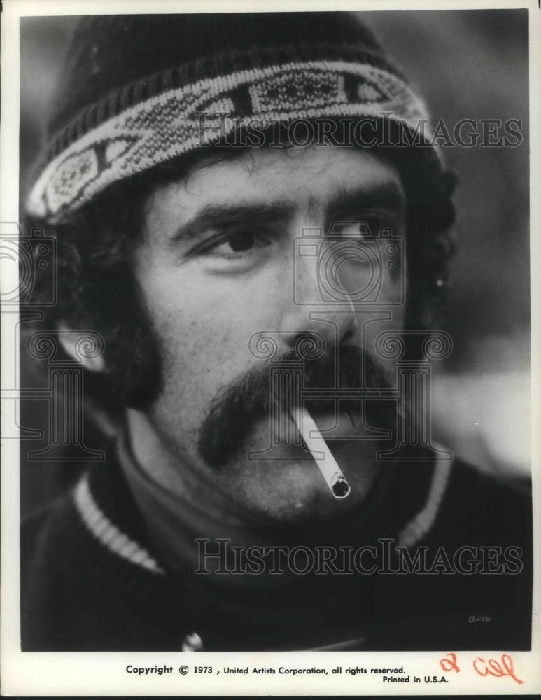 1974 Press Photo Elliott Gould as Michael Kennedy in Busting - cvp13435 - Historic Images