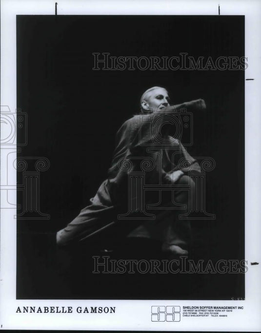 1984 Press Photo Annabelle Gamson - cvp15681 - Historic Images