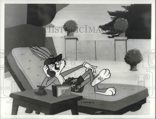 1987 Press Photo Bugs Bunny's Mad World of Television - cvp09139 - Historic Images