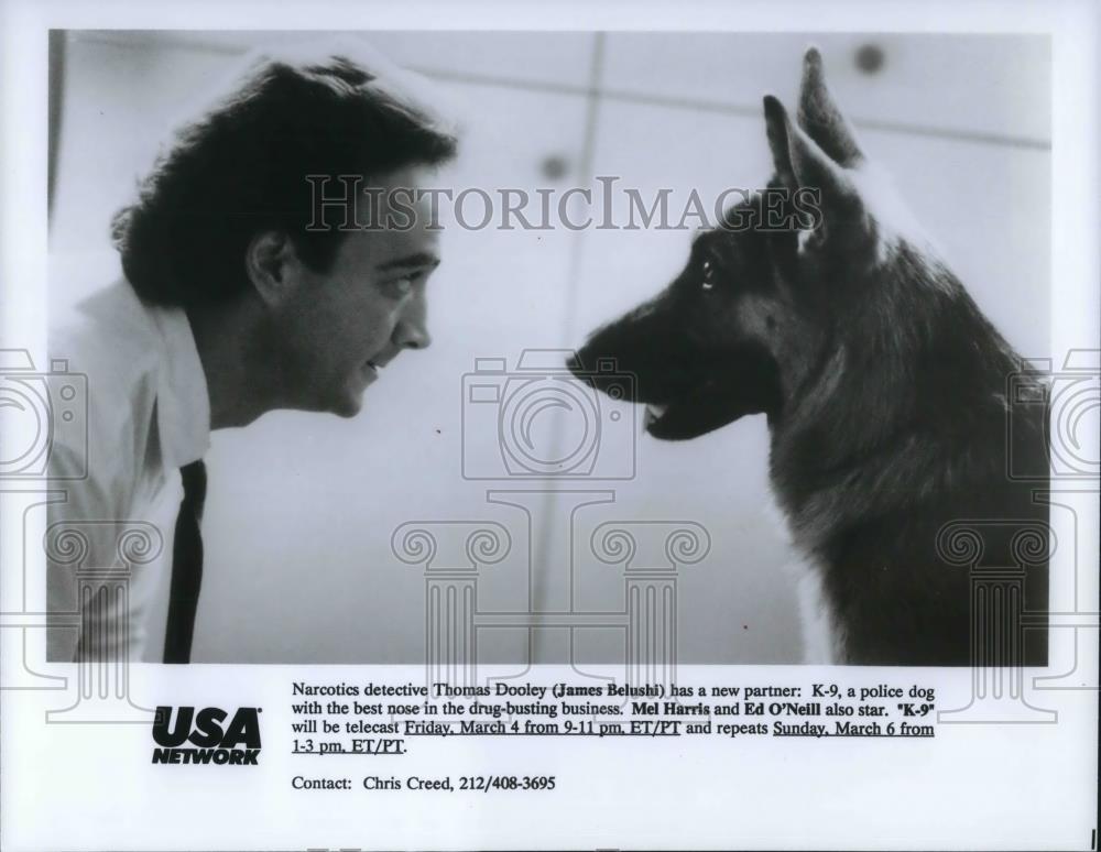 1994 Press Photo James Belushi stars in a scene from K-9 Action Movie - Historic Images