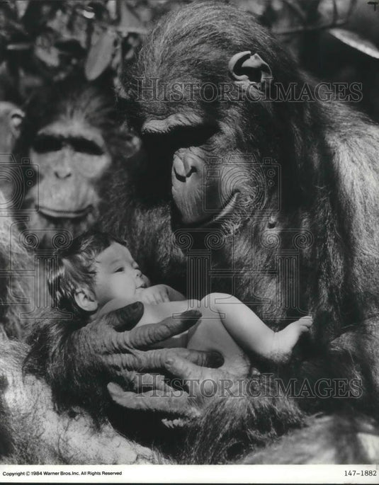 1984 Press Photo Greystroke: The Legend of Tarzan, Lord of the Apes - cvp11258 - Historic Images
