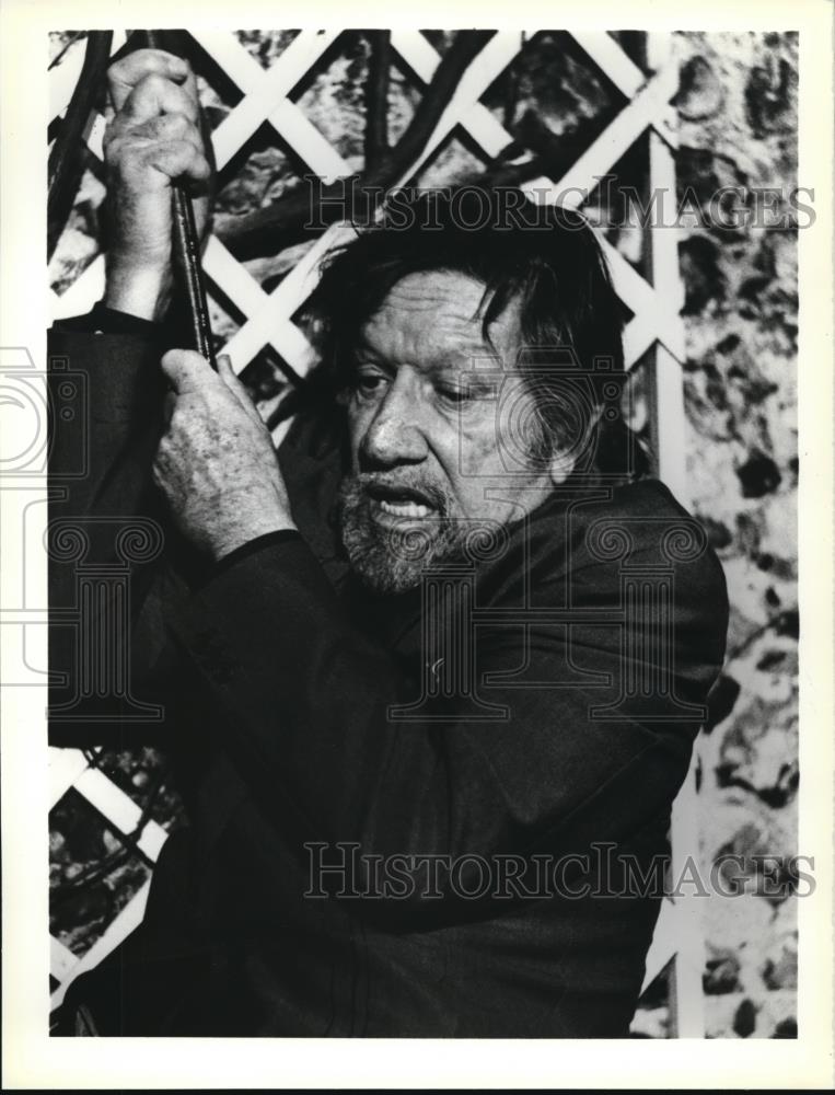 1981 Press Photo Richard Boone in The Big Sleep - cvp00037 - Historic Images