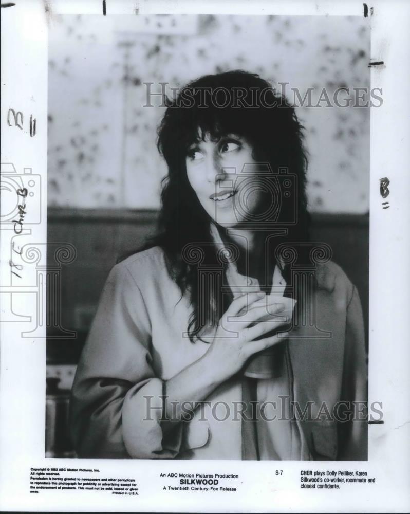 1984 Press Photo Cher in Silkwood - cvp05611 - Historic Images