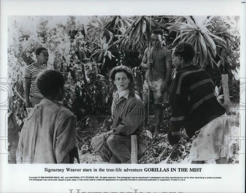 1989 Press Photo Sigourney Weaver in Gorillas in the Mist - cvp19258 - Historic Images