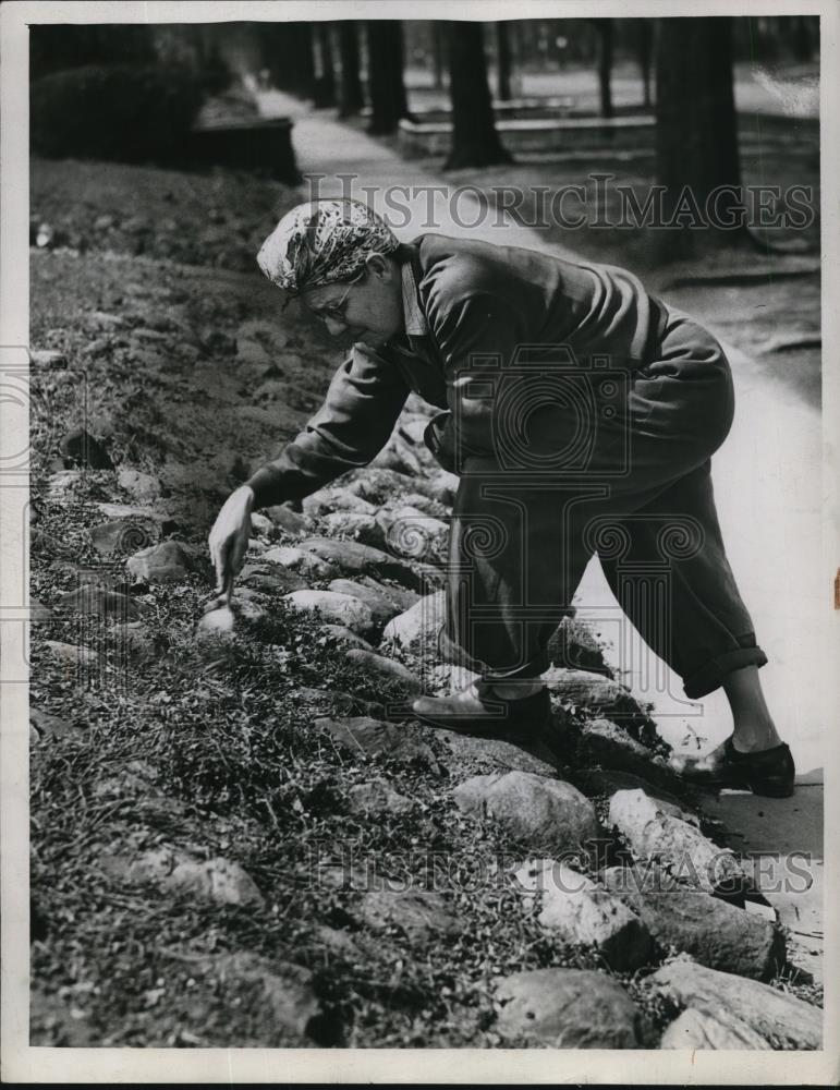 1947 Press Photo Mrs. T. H. Suttle Working in Rock Garden - Historic Images