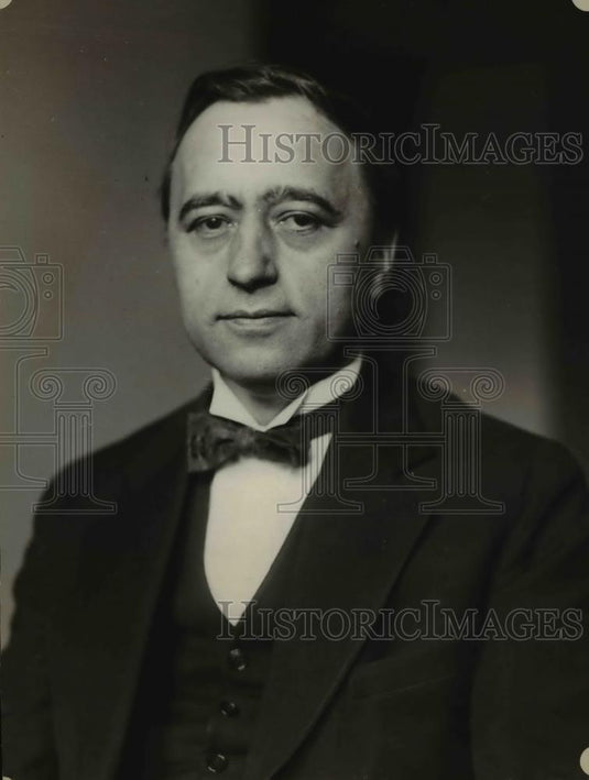 1929 Press Photo Matthew Woll, American Federation of labor vice president - Historic Images