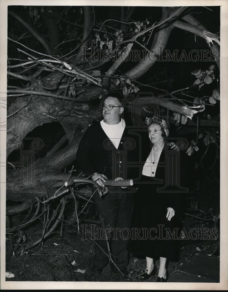 1953 Press Photo Austin &amp; Anna Moran and tree knocked down on their home - Historic Images