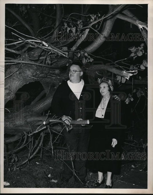 1953 Press Photo Austin & Anna Moran and tree knocked down on their home - Historic Images