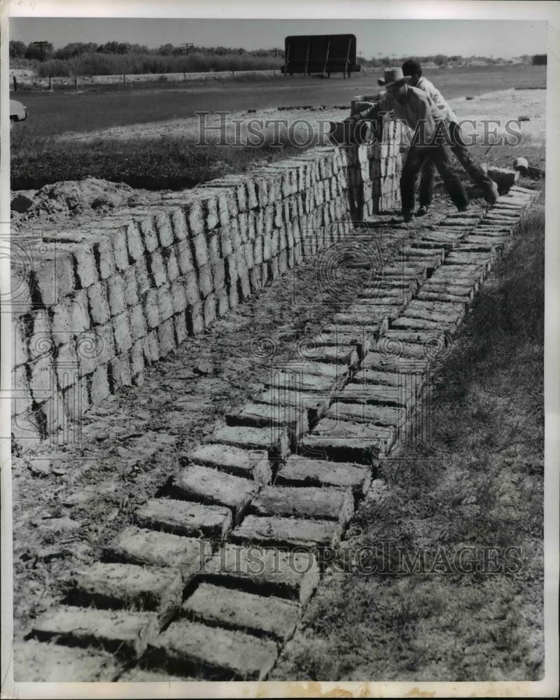 1954 Press Photo Freshly dug terrones for mud houses - Historic Images