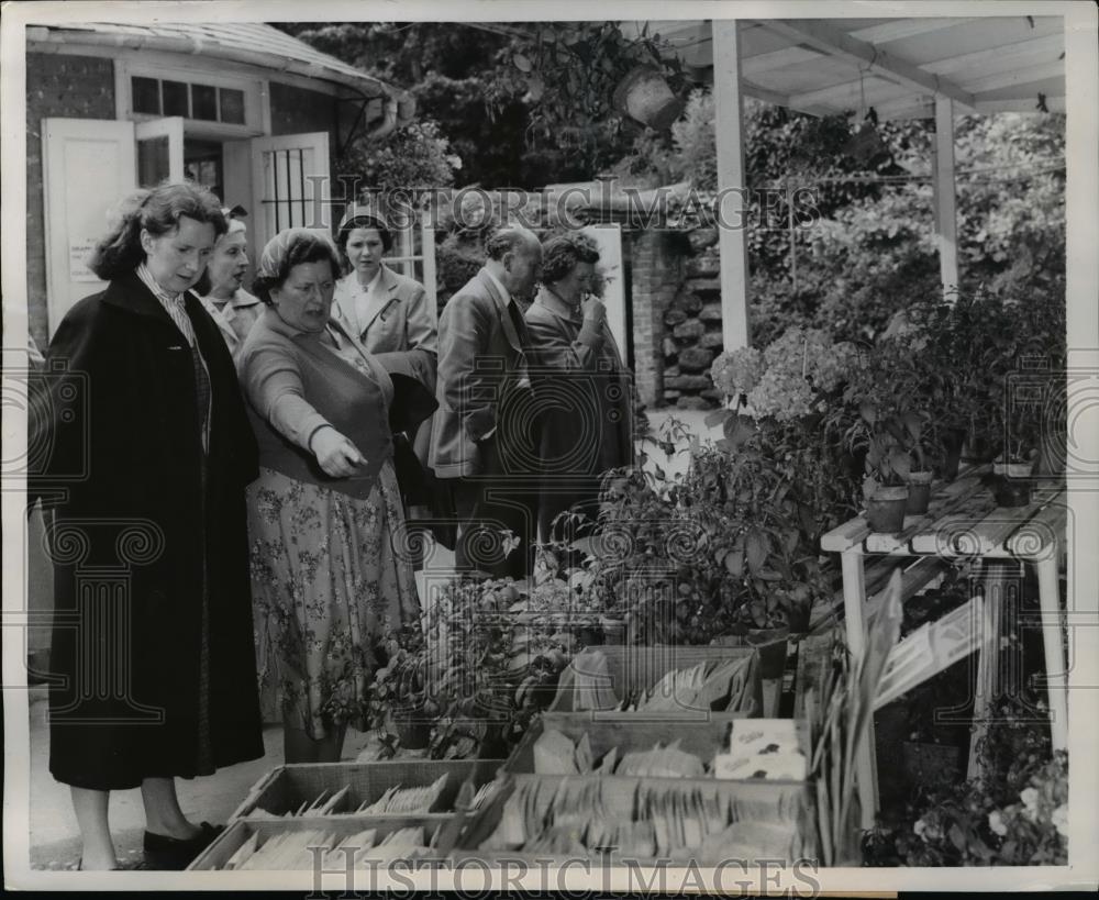 1958 Press Photo Visitors exclaim over the Duke&#39;s potted plants The flower shop - Historic Images