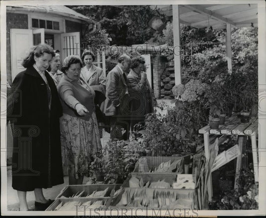 1958 Press Photo Visitors exclaim over the Duke's potted plants The flower shop - Historic Images