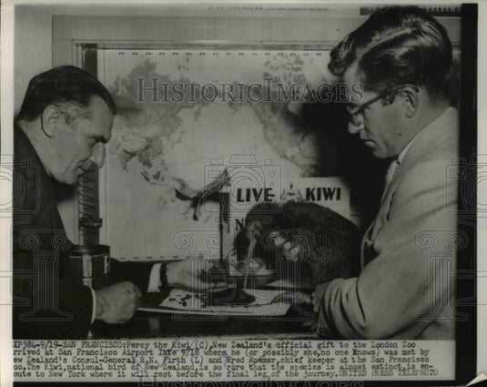 1958 Press Photo Percy, the Kiwi with Consul General R.N. Firth & Fred Roemer - Historic Images