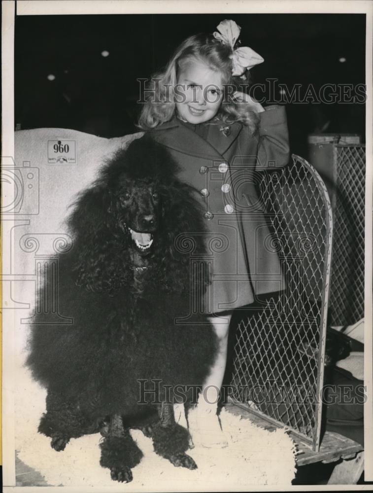 1945 Press Photo Franch Poodle of San Francisco Dog Show, Champion Stanoard - Historic Images