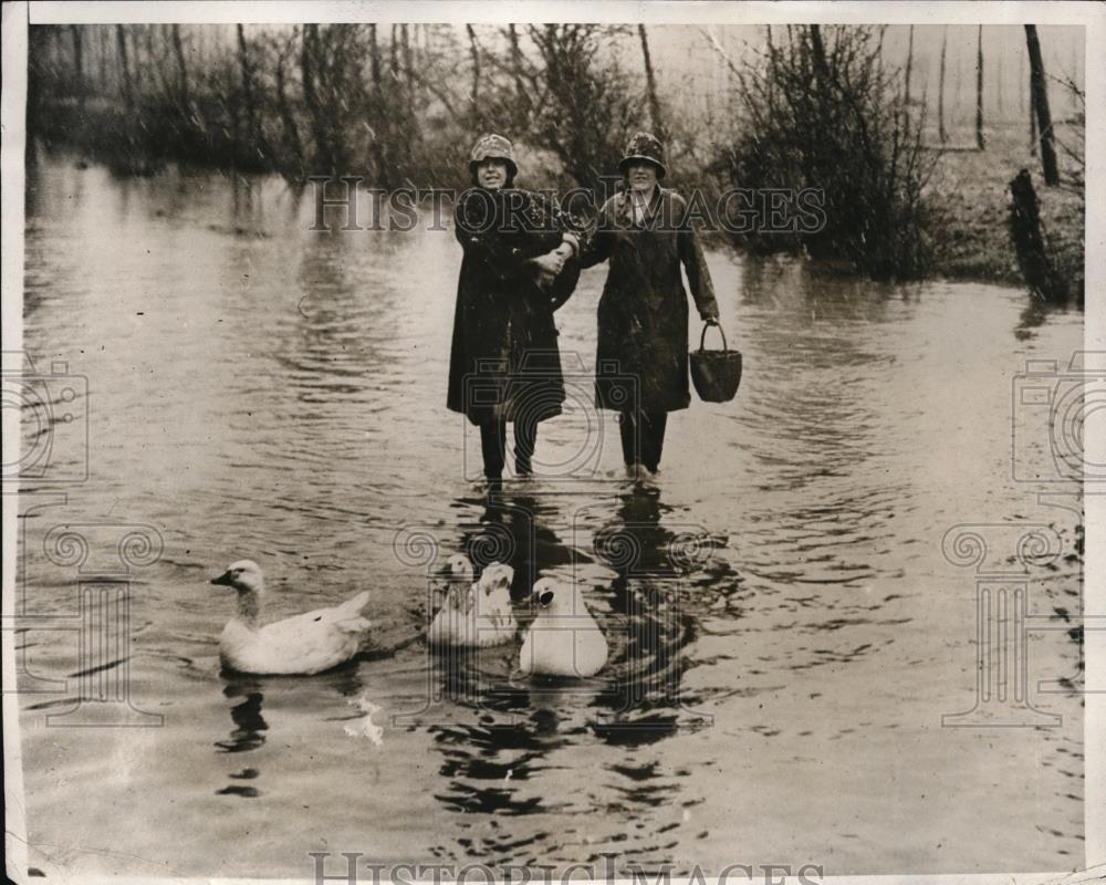 1929 Press Photo A family of ducks at Bartring Kent in England - Historic Images