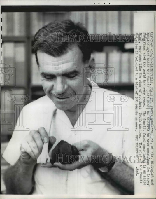 1962 Press Photo Gainesville FLa Dr Pierce Brodkorb Univ. of FLa Biologist and - Historic Images