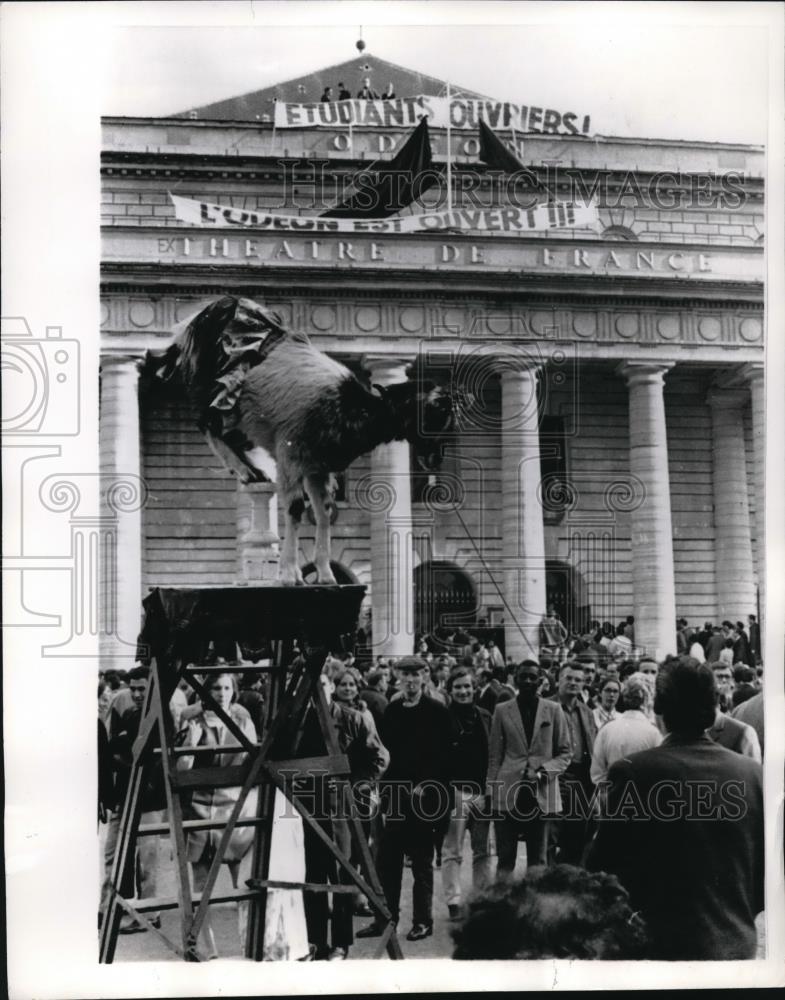 1968 Press Photo Gypsies Perform with a Goat to Students Outside Odeon Theater - Historic Images