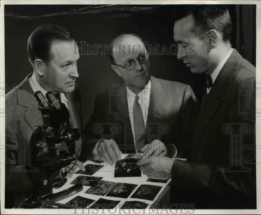 1955 Press Photo GE Research Labs Dr C Guy Suits, Drs HM Strong, HT Hall - Historic Images