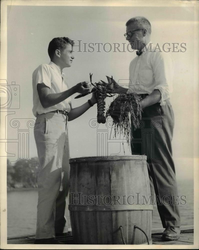 1959 Press Photo Lobster &amp; clams fave food of Maine&#39;s visitor by Edward Myers - Historic Images