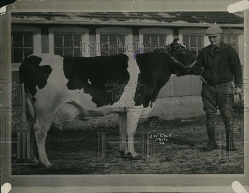 1927 Press Photo Man with a cow - Historic Images