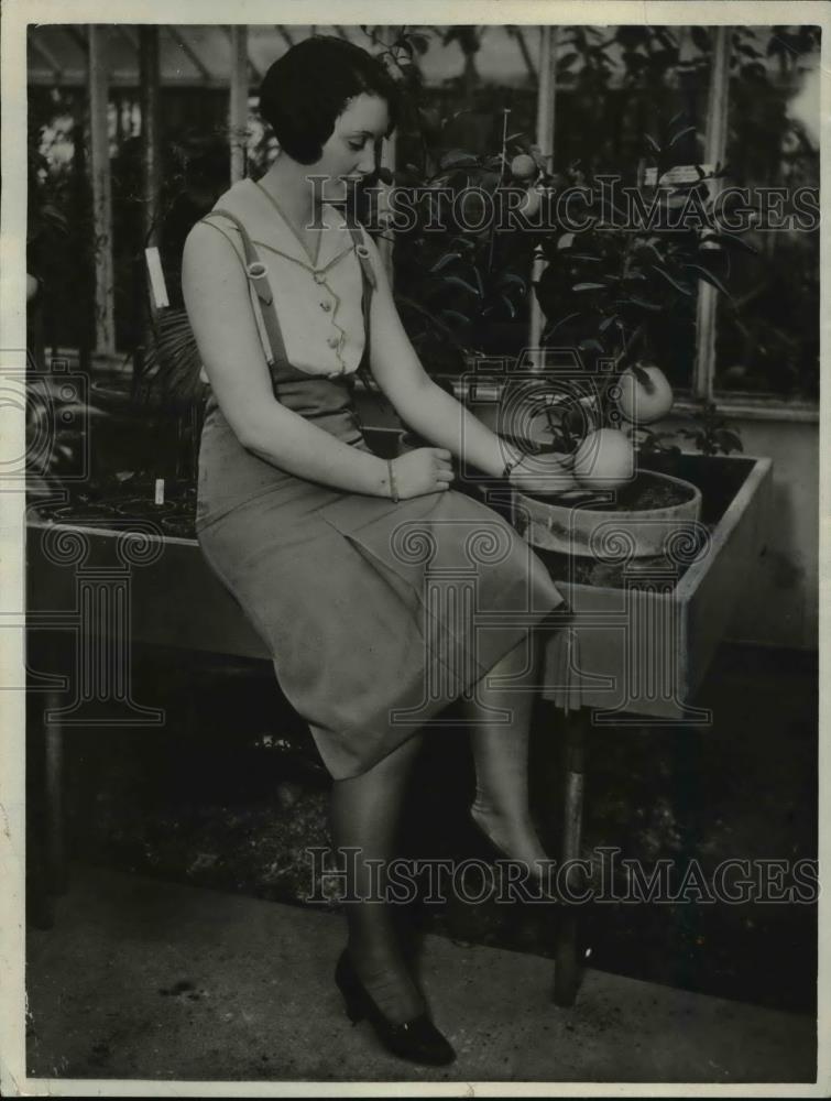 1931 Press Photo Mildred Stanley With New Hybrid Fruit - Historic Images