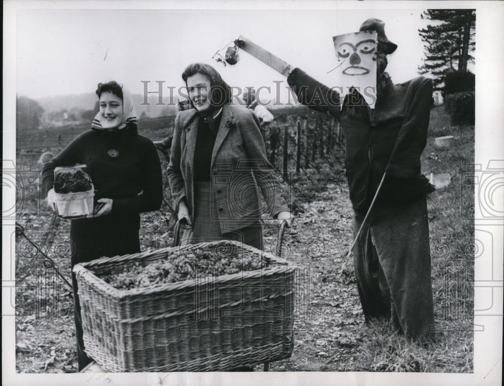 1956 Press Photo Sir Cuy, Lady Salisbury-Jones &amp; daughter Marietteat grapes farm - Historic Images