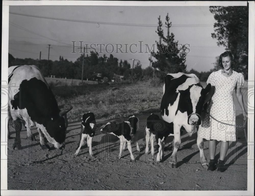 1940 Press Photo Jean Chase with Cow Parents of Triplets - Historic Images