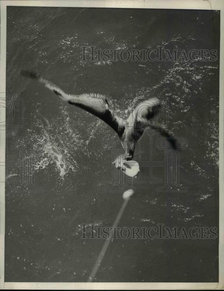 1936 Press Photo Pelican fly over the sea to catch fish - Historic Images