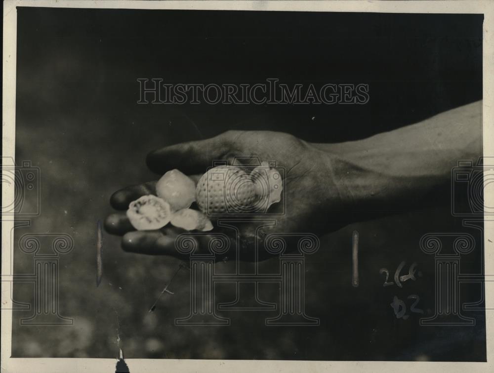 1921 Press Photo Golf Tournament Sleepy Hollow Scarborough New York Hailstorm - Historic Images