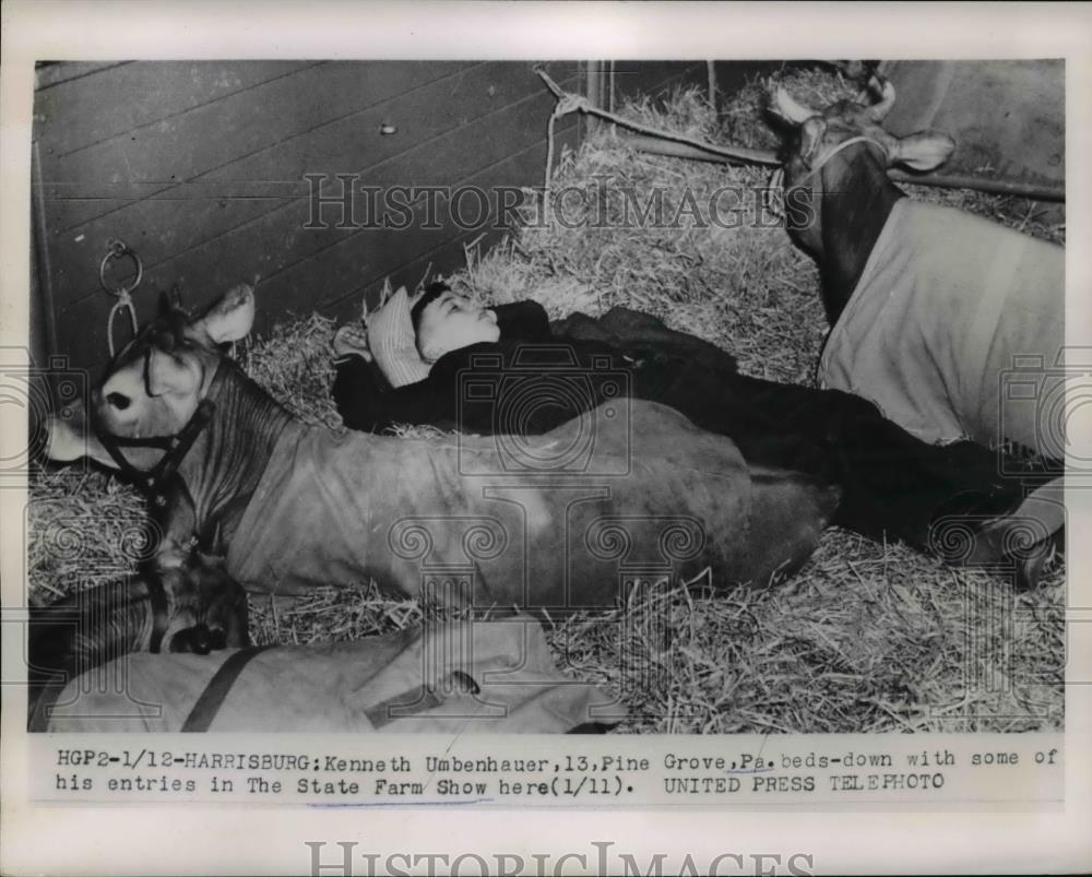 1954 Press Photo Kenneth Umbenhauer sleeps with his State Farm show entries - Historic Images