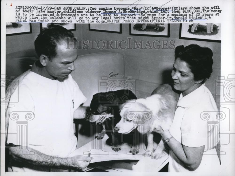 1958 Press Photo Two Canine Tycoons - Historic Images