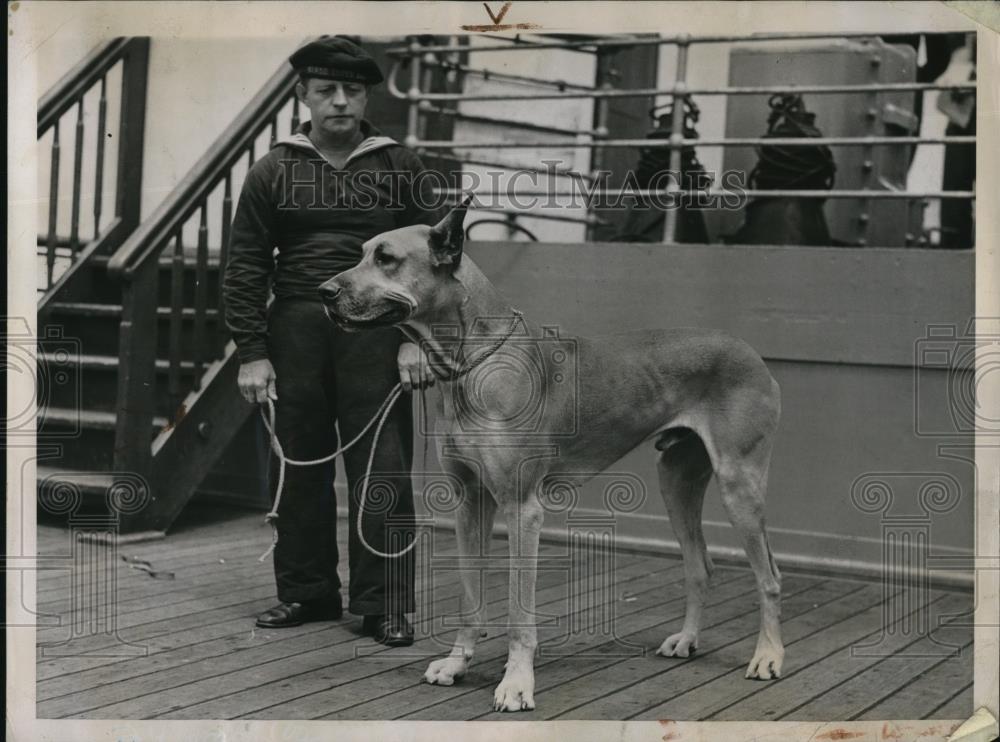 1937 Press Photo Johan Koesper with Riese the Great Dane in NYC - Historic Images