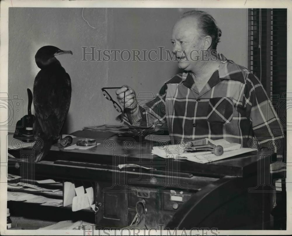 1933 Press Photo Atty CM Walz and cormorant that walked &amp; jumped on his desk - Historic Images