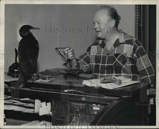 1933 Press Photo Atty CM Walz and cormorant that walked & jumped on his desk - Historic Images